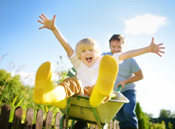 How to Save Money on Yard Work