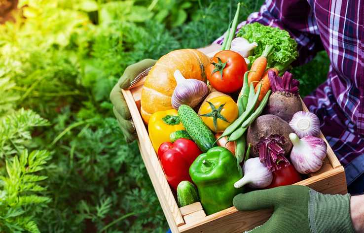 How to Save on Spring Gardening